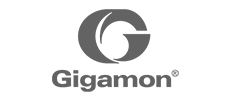 Gigamon